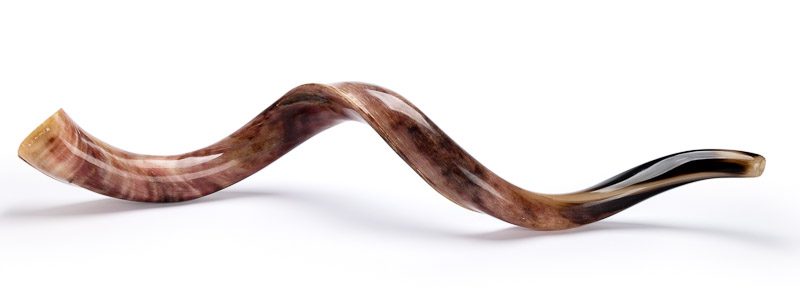 Shofar Bíblico para Igrejas em todo o Brasil.Pronta Entrega