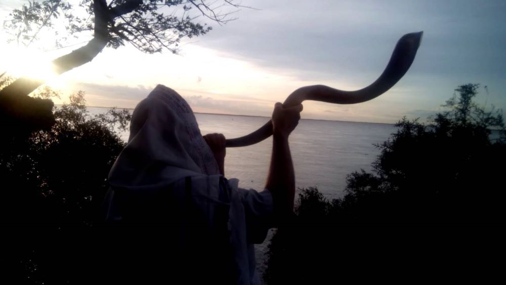 Shofar Bíblico para Igrejas em todo o Brasil.Pronta Entrega