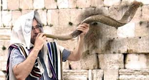 Shofar Bíblico para Igrejas em todo o Brasil.Pronta Entrega