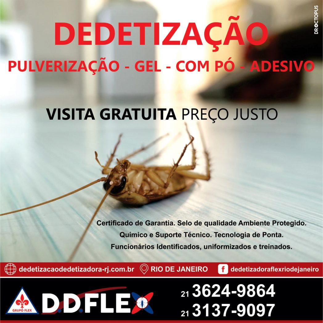 ddflex-RIO