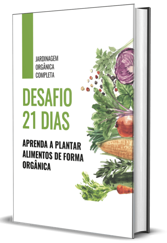 capa-desafio-704x1024 bonus