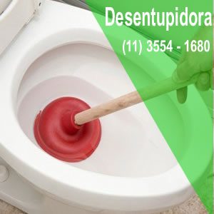 6 Formas de Desentupir Vaso