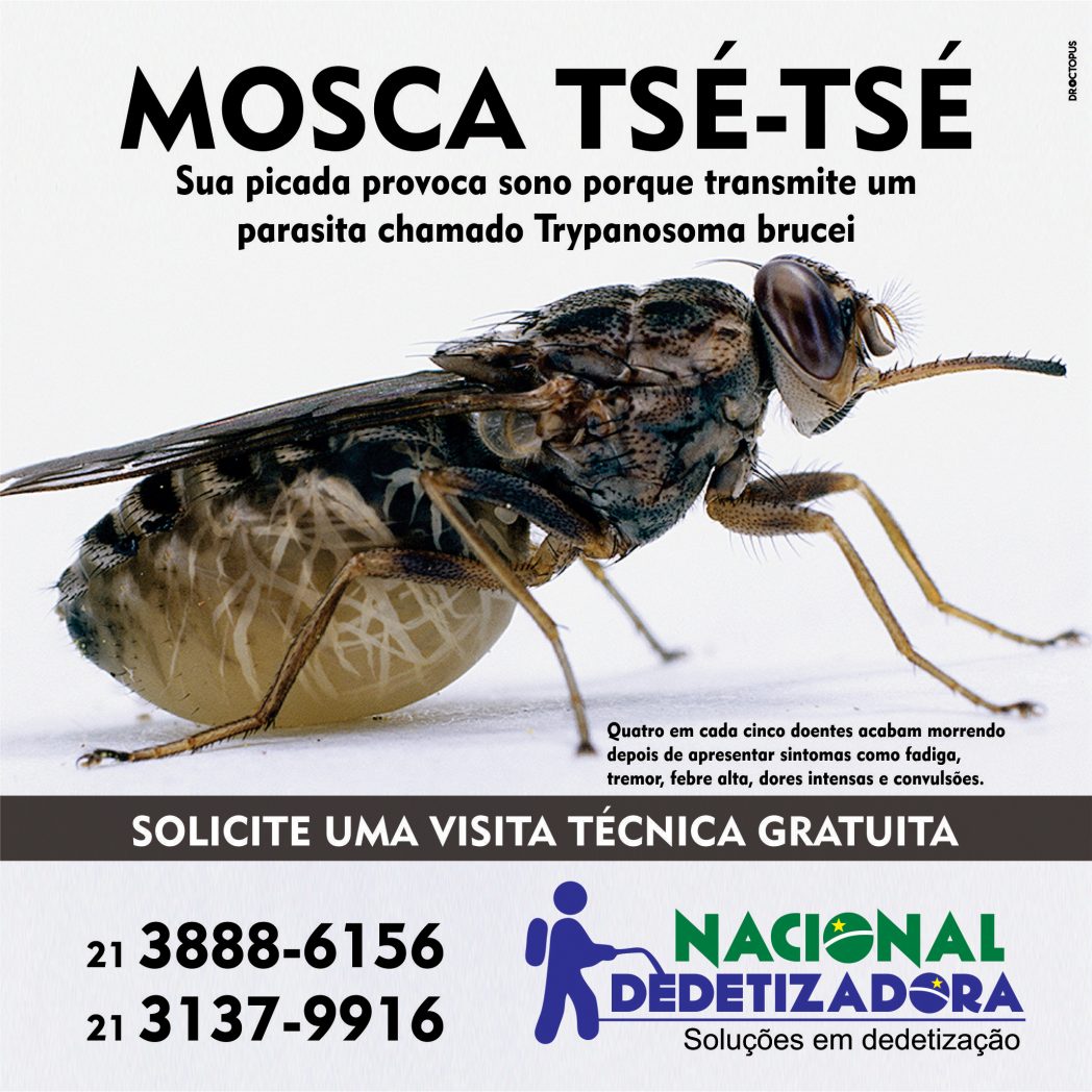 nacional-mosca