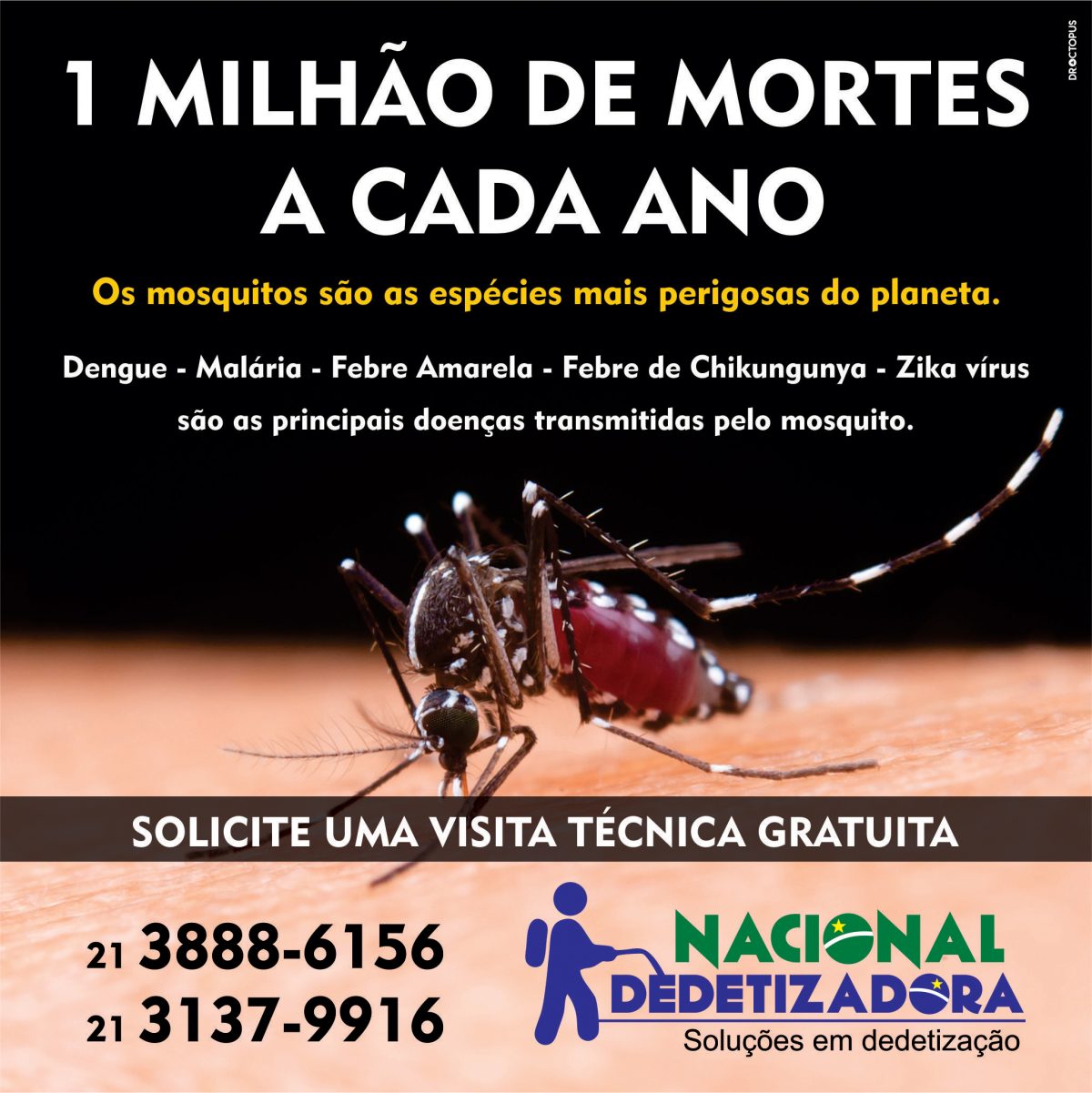 nacional-mosquito