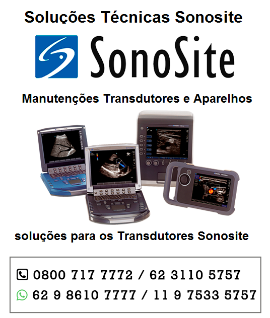2-SONOSITE-TRANSDUTORES