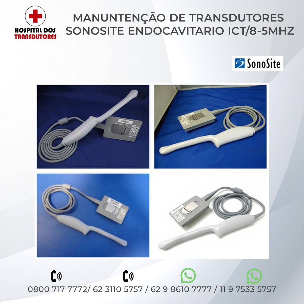 6-TRANSDUTOR-SONOSITE-ENDOCAVITARIO