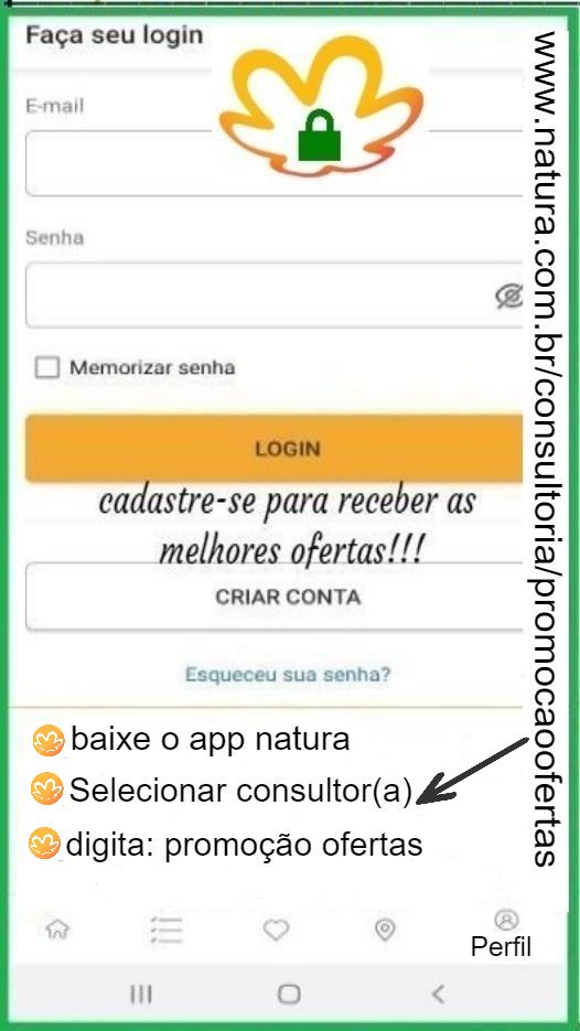 consultora - promoção ofertas