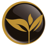 Avatar de uemuraestetica