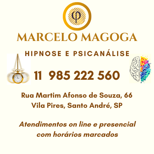 Marcelo magoga (2)