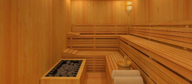 Saunas de madeira