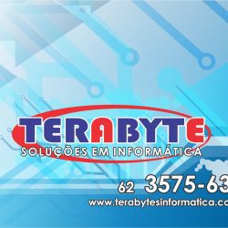 Avatar of Terabytes Informatica