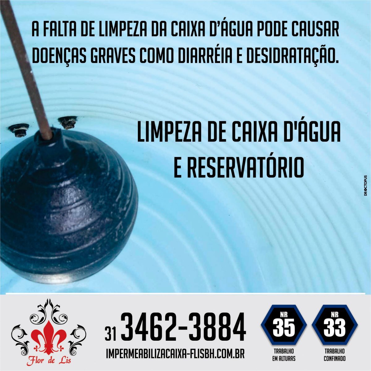 flor-de-lis-2020-4