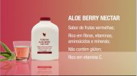 34-aloe-berry-nectar